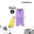 Cat Recovery Suit for Abdominal Wounds or Skin Diseases (for Kittens Cats). 