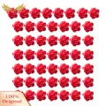 SuperRide Wall Vine Holder 50 Pcs Rose Wall Climbing Plant Vine Holder Clips for Indoor Outdoor Plants Reusable Fixing Clips for Wall Climbing Plant Fixing Clip. 