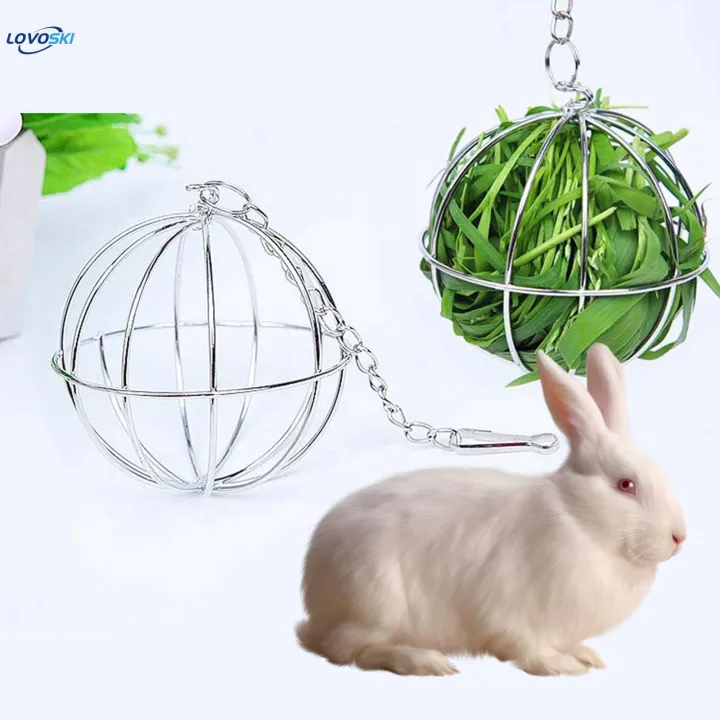 Hung%20Ball%20Shape%20Feeder%20Toy%20Stainless%20Steel%20Grass%20Rack%20for%20Chicken%20Hamster%20Rat%20-%20Image%203