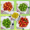 Simulation Fruit Simulation Mini Fruit Model Enlightenment Toys Mini Toys Miniature Food. 