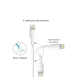 Apple iPhone Charger Power Adapter Dock Lightning Cable. 