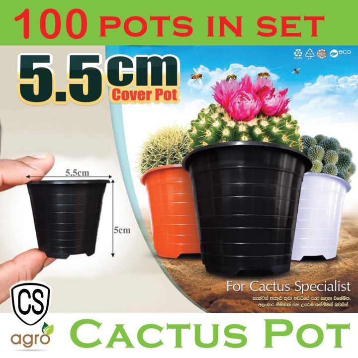 Cactus Plastic Flower Pot 5.5cm*5cm 100pots in set Garden Plant Seeds