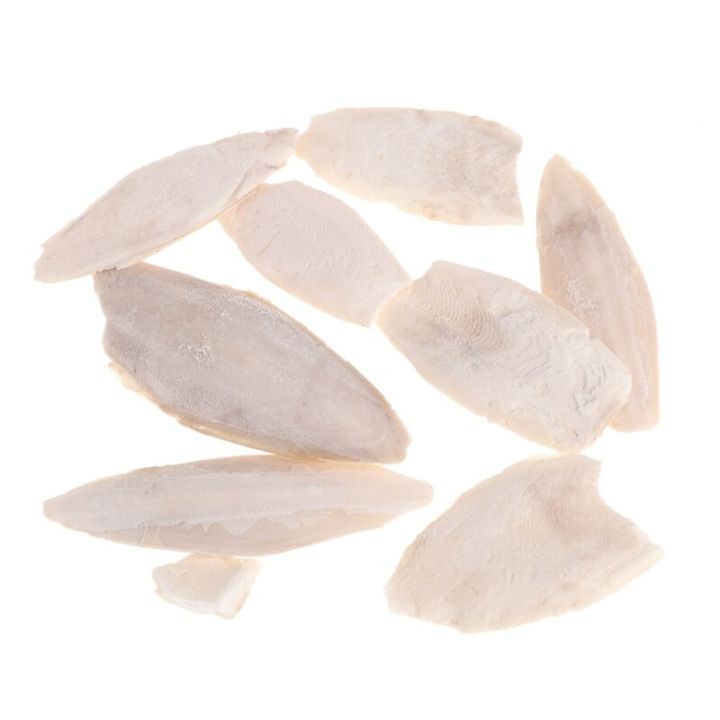 【KuaKe Mall】Bag Cuttlebone Cuttlefish Sepia Bone Cuttle Fish Bird Food ...