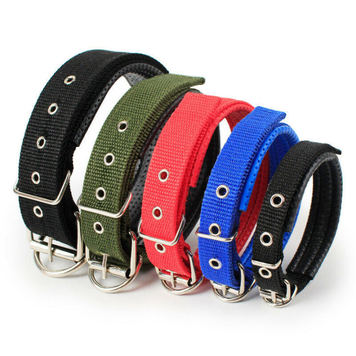 Medium%20Dog%20Collar%20Adjustable%20Soft%20Nylon%20Padded%20Cushion%20Necklace%20Pet%20Puppy%20Dog%20Belt%20Blue%20Black%20Red%20Green%20Collars%20Safety%20Dogs%20Belt%20Dog%20Strap%20Accessory%20Metal%20Buckle%20Pets%20Dog%20Chain%20Dogs%20Sale%20Sri%20Lanka%20Dogs%20Sale%20Strip%20Lanka%20Dogs%20Sell%20Pets%20Dog%20Sale%20-%20Image%208