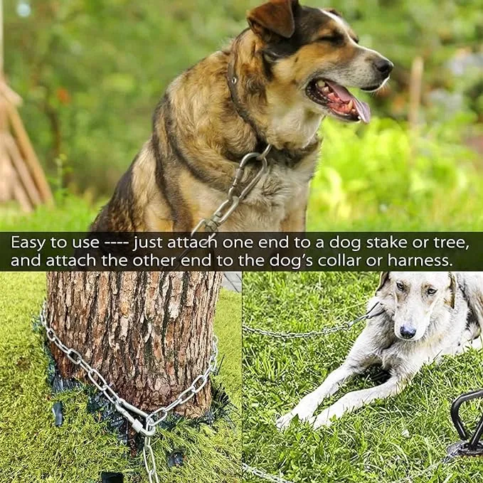 Long dog leashes for outside best sale