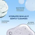 Cetaphil Gentle Skin Cleanser 250Ml. 