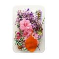 Mix Beautiful Real Dried Flowers Natural Floral For Art Craft Scrapbooking Resin Jewelry Craft Making Epoxy Mold. 