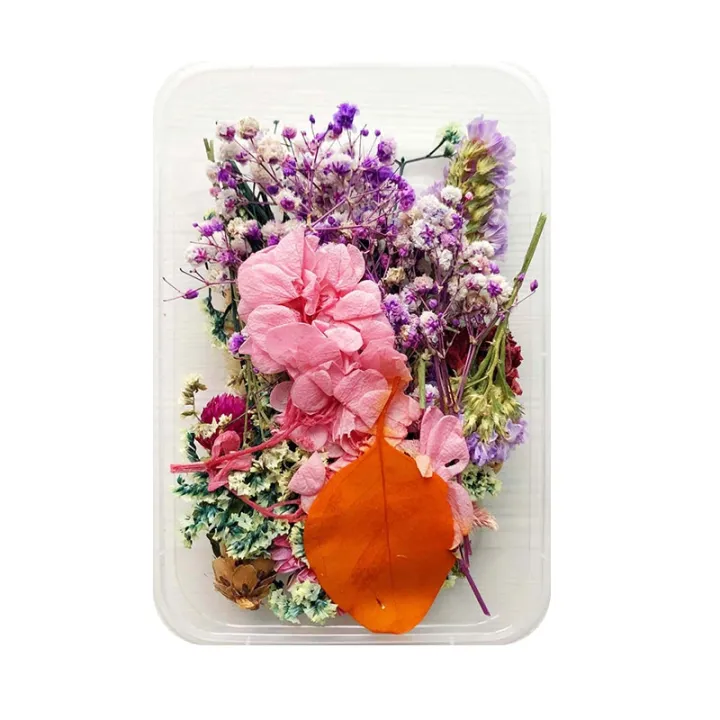 Mix%20Beautiful%20Real%20Dried%20Flowers%20Natural%20Floral%20For%20Art%20Craft%20Scrapbooking%20Resin%20Jewelry%20Craft%20Making%20Epoxy%20Mold%20-%20Image%205