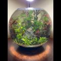 Glass Bowl,Aquarium Fish Bowl large size 2500ml. 