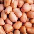 Fresh, quality, dried peanut - 10Kg. 
