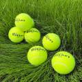 WELKIN 1pcs Training Tennis Professional Training Tennis Ball Quality Rubber High bounce for Family Friend Beginner School Club. 
