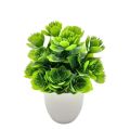 Artificial Plants with Plastics Pots Perfect Greenery for Home DecorationsOffice Desk Living Room and Bedroom Decoration. 
