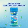 Center Fresh Mint, Chewy Mints, Spearmint Flavour Candy Pocket Bottle, 33 g (FROM INDIA) SAB. 