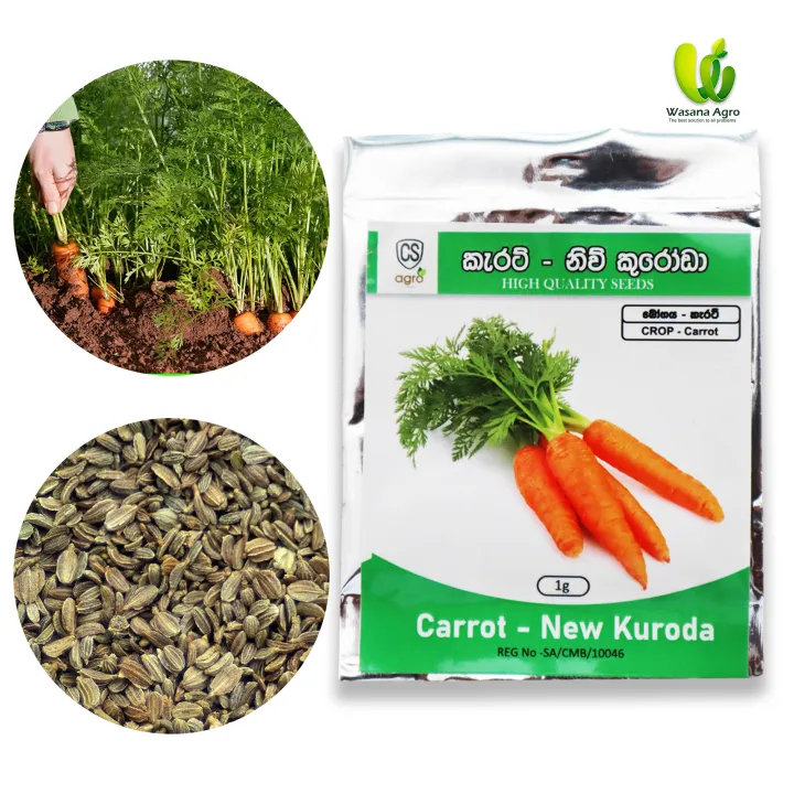 Carrot%20New%20Kuroda%20Seeds%201g%20%E0%B6%9A%E0%B7%90%E0%B6%BB%E0%B6%A7%E0%B7%8A%20%E0%B6%B6%E0%B7%93%E0%B6%A2%20-%20Image%202