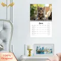 SuperRide Practical Cat Illustration Calendar 2025 Cute Cat Calendar for Home Office Organization Cat Illustrations Planner for Time Management Buyer's Favorite High-quality Thick Paper Calendar. 