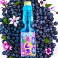 HATA RAMUNE BLUBERRY DRINK 200ml .  JAPANESE SOFT DRINK HATA KOSEN. 