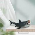 Painted Shark Action Figures Megalodon Model Playset Realistic Creature Shark Toy for Collection. 