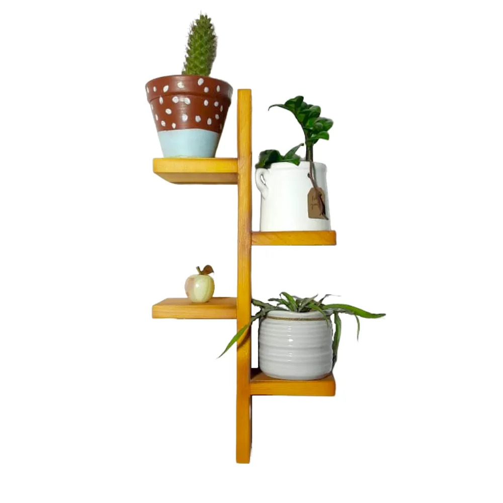 Wall Decor Plant and Ornament Holder / Wall Shelf Cactus Pot Shelf