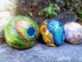 Coconut Artwork. 