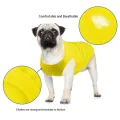 Summer Dog Clothes Sun Protection Cat Dog Streetwear T-shirt. 