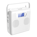 (GGBR) Portable Bluetooth CD Player with Vertical Design, CD Speakers, FM Radio, Support USB, AUX ,and LCD Display. 