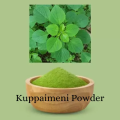 Natural Dried Herb Acalypha Indica Powder/ Indian Nettle/ Kuppaimeni Powder/ kuppameniya Powder/ Urtica Dioica 50g. 