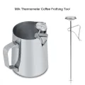 Liquid thermometer Milk food cooking water for the kitchen grilling. 