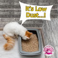 Wood Pellet Cat Litter Kitto Kitty - 10L APPLE. 