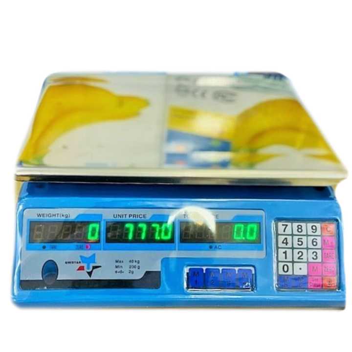 Electronic Price Computing Scale 40kg Capacity with Green LED Display, Rechargeable - 40Kg