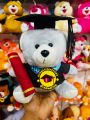 Graduation Teddy Bear | Graduation Gift Degree Bear | University Convocation Gift | Diploma Gift (24cm). 