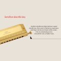 BRADOO- QI MEI Chromatic Harmonica 16 Hole 64 Tone Mouth Organ Instrumentos Key of C Professional Musical Instruments. 