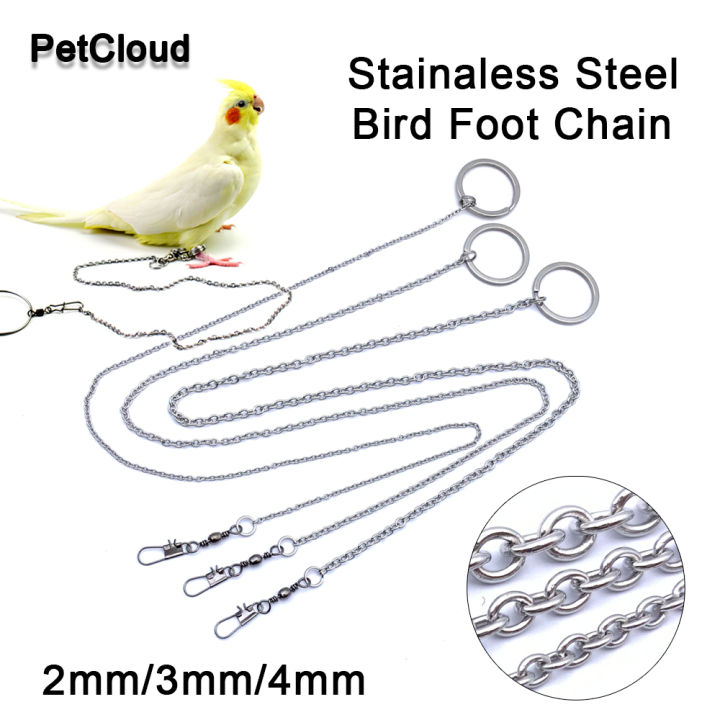 Bird Chain Stainless Steel Parrot Foot Chain Bird Ankle Foot Ring Stand Chain ...