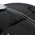 SUZUKI Spruce Wood 8-string A Style Acoustic Mandolin - Black. 