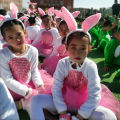 4pcs Halloween Children Animal Show Clothing White Rabbit Cosplay Costume Boys Girls Wolf Dress Kids Easter Bunny Dance Clothes. 