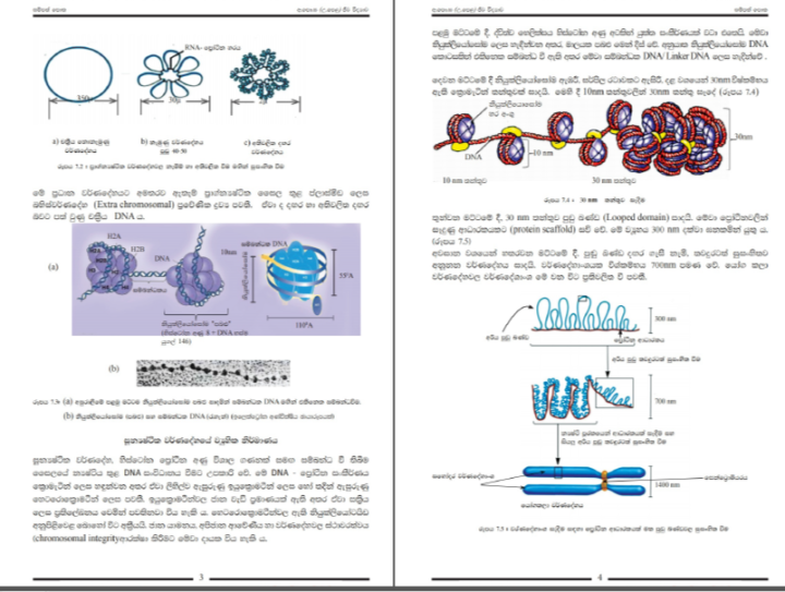 Jeewa%20vidyawa%205ii-10%20Biology%20Resource%20Book%20(G13)%20sinhala%20medium%20(Unit%205ii-10)%20published%20by%20National%20Education%20Institute%20(NIE)%202020%20edition%20-%20Image%204