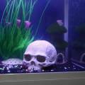 Verisimilar Artificial Human Skull Aquarium Ornament Play Room for Fish. 