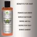 Satvayush Herbal Rosemary Henna Hair growth Oil 210 ml + Amla Reetha Shikakai Bhringraj Anti Dandruff Shampoo 210 ml (FROM INDIA)SAB. 