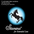 Stamina Delay Condoms. 