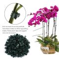 Durable Orchid Flower Support Plant Clips Vine Grafting Supplies Garden Tools Orchid Clips 6-Claw Plastic Butterfly Clamp Fruit Vegetable Stem. 