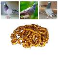 100Pcs 2024 Pigeon Aluminium Dove Leg Rings Accessories Lightweight Inner. 