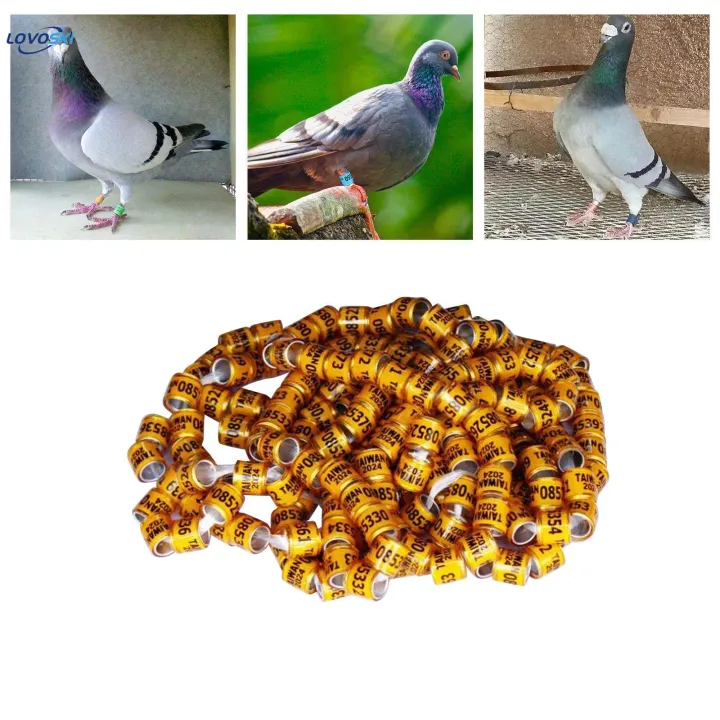 100Pcs%202024%20Pigeon%20Aluminium%20Dove%20Leg%20Rings%20Accessories%20Lightweight%20Inner%20-%20Image%204