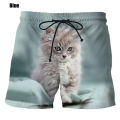 New fashion cute cat graphic board shorts for men 3D printed casual unisex funny animal beach swimming shorts men trunks. 