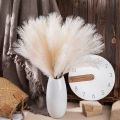 Natural Fake Wedding Decor For Home Decoration Bedroom Plante Artificial Flower Pampas Grass Fake Flowers Artificial Reed. 