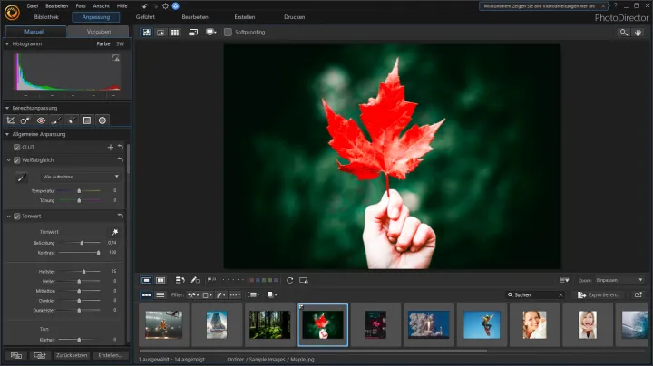 CyberLink%20Director%20Suite%20365%20v9%20Professional%20Studio%20Production%20Software%20Collection%20(Audio%20Editing/Video%20Editing/Photo%20Editing/Color%20Grading)%20-%20Image%2010