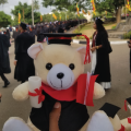 Graduation Teddy Bear Graduation Gift Toy Teddy Bear. 