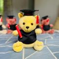 Graduation Teddy 26cm \ Graduation Gift \ University Convocation Gift \ Graduation Bear \ Diploma gift. 