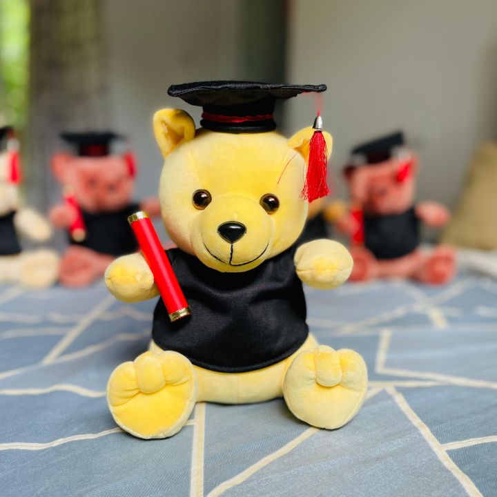 Graduation Teddy 26cm \ Graduation Gift \ University Convocation Gift \ Graduation Bear \ Diploma gift