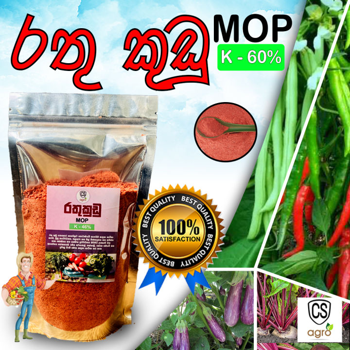Muriate Of Potash (MOP) 200g for Home Garden Fertilizer K2O 60% Blooming