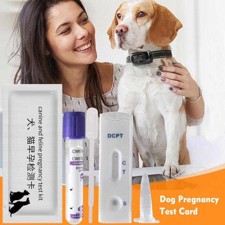 Dog Pregnancy Test Strip Dog Pregnancy Test Canine Pregnancy Test Early Pregnancy Test Strips Veterinary Supplies