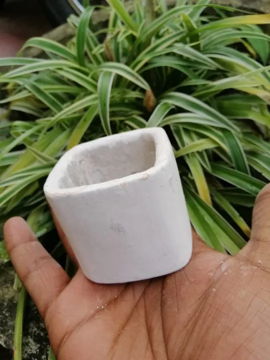 Cactus%20MINI%20POTS%20Cacti%20Planters%20Cactus%20Plant%20Pot%20Flower%20Pot%20Indoor%20Flower%20Planter%20Small%20Flower%20Pots%20-%20Image%204